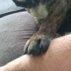 Meet your Posher, Scott